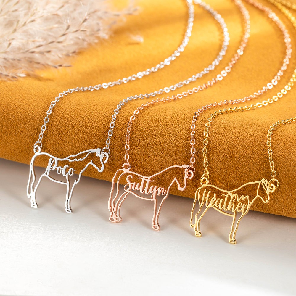 horse riding gift
