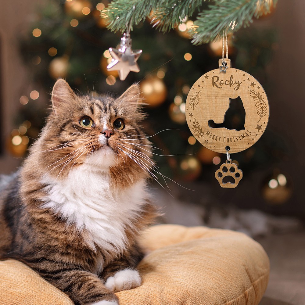 cats lover