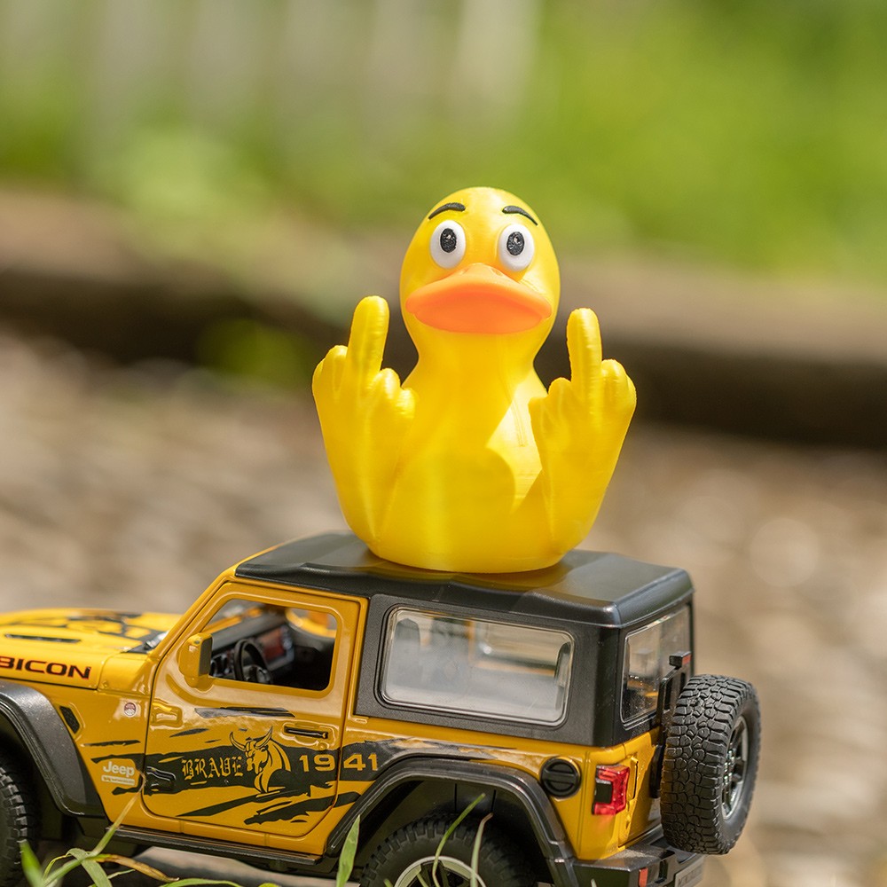 funny duck