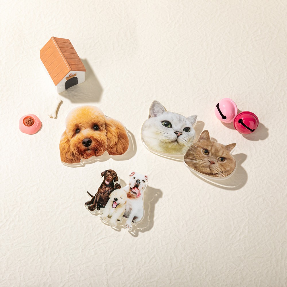 Pet Portrait Pin