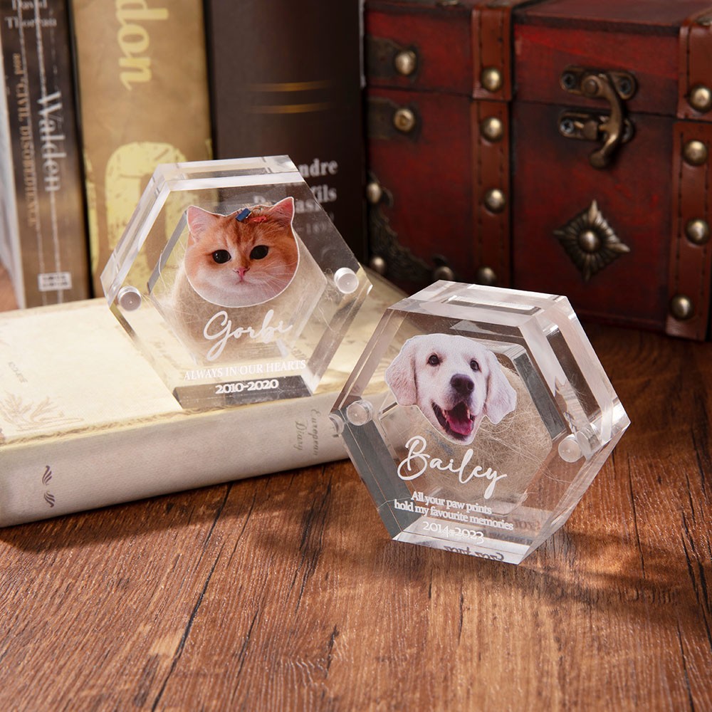 Custom Pet Hair Memorial Box