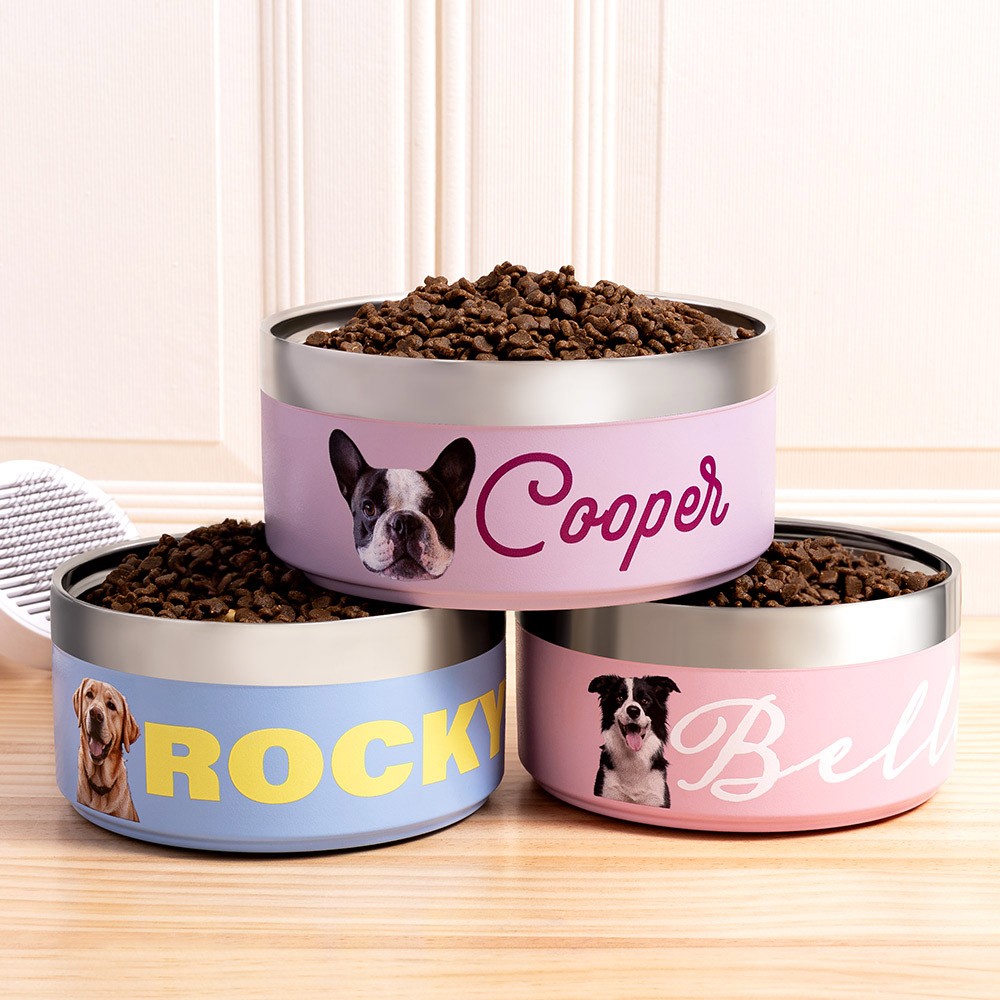 Personalized Photo & Name Dog Bowl, Custom Stainless Steel Pet Treat Container for Food & Water, Feeding Puppy Bowl Gifts for Small, Medium/Large Dogs