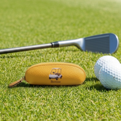 golf storage bag