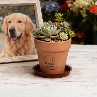 plant pot