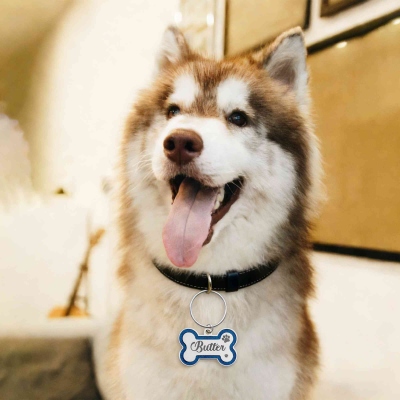 dog id tags