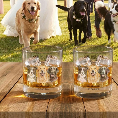 Whiskey Glass