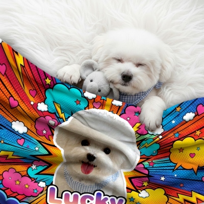 hundfilt