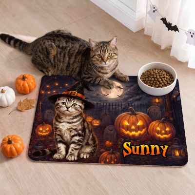 Pet Food Mat