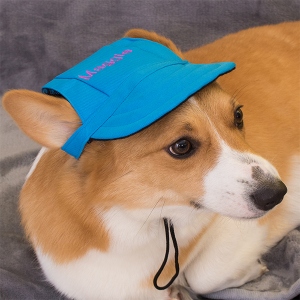 pet gift for dog owners