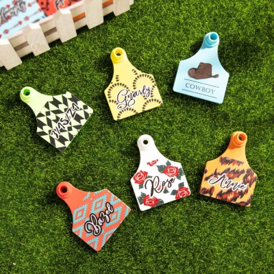 Étiquette d'oreille personnalisée pour bovins de fantaisie