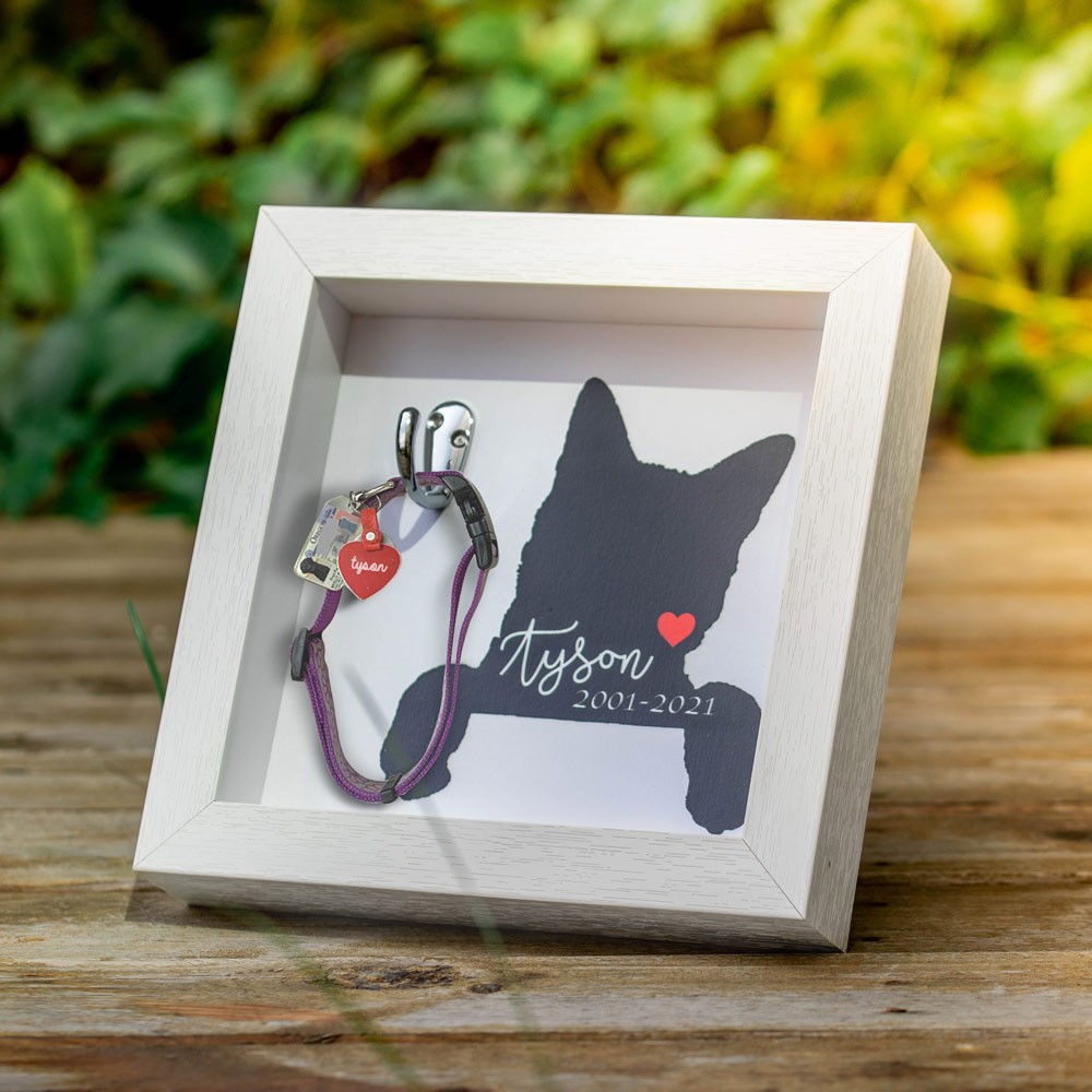 Sign with Collar Holder