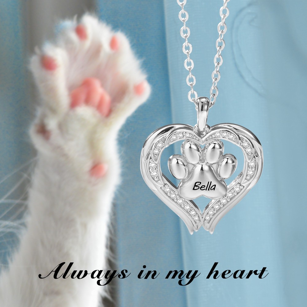 Pet necklace
