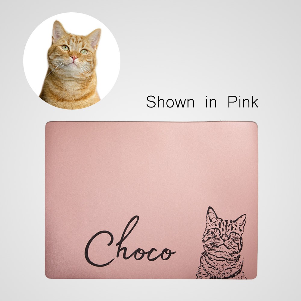tapis de nourriture pour chat