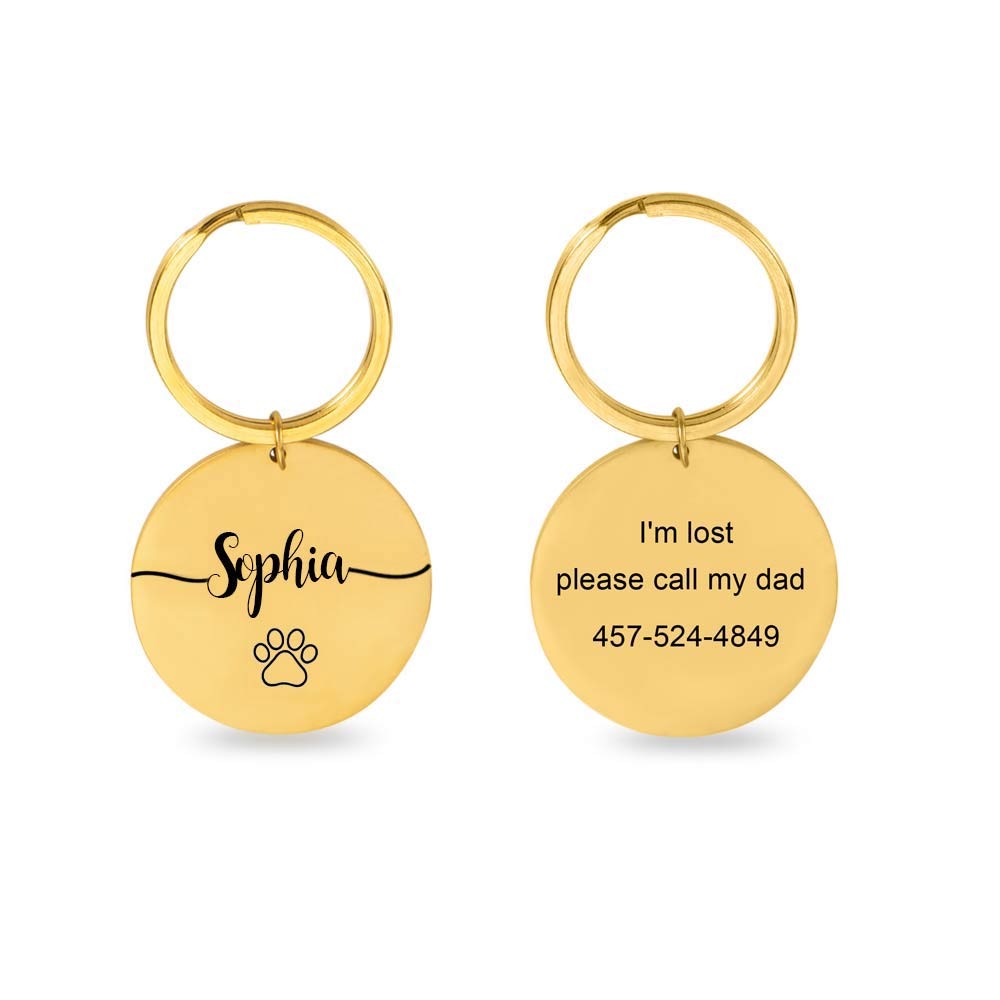 pet lost keychain