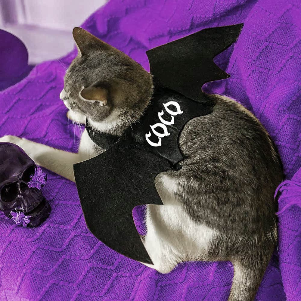 Accessoire photo d'Halloween pour animal de compagnie