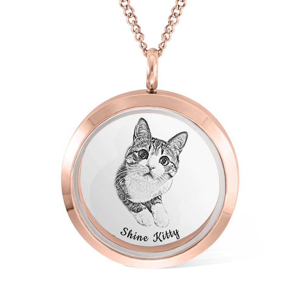 souvenirs de chat