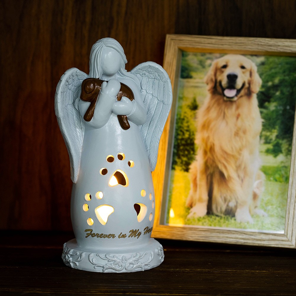 perte de cadeau de sympathie pour chien