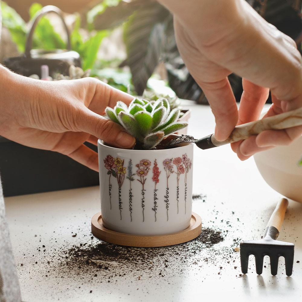 succulent pots