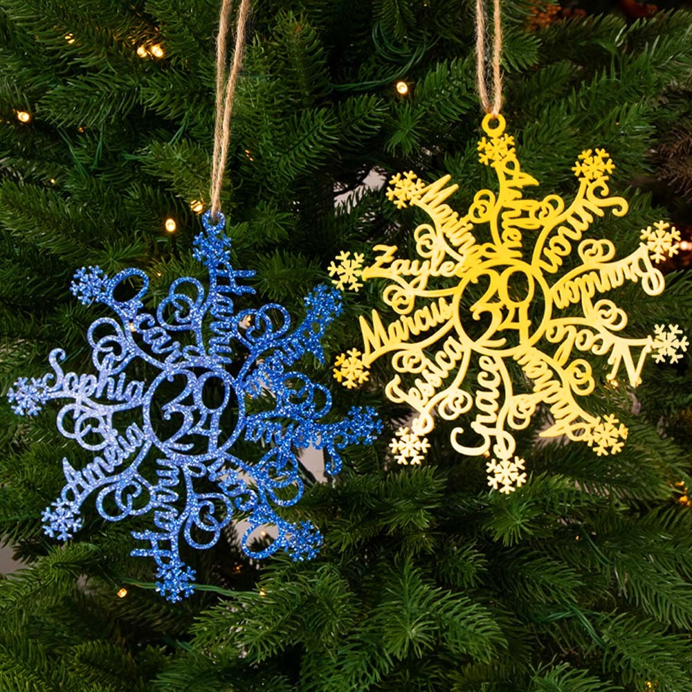 family ornament 2024