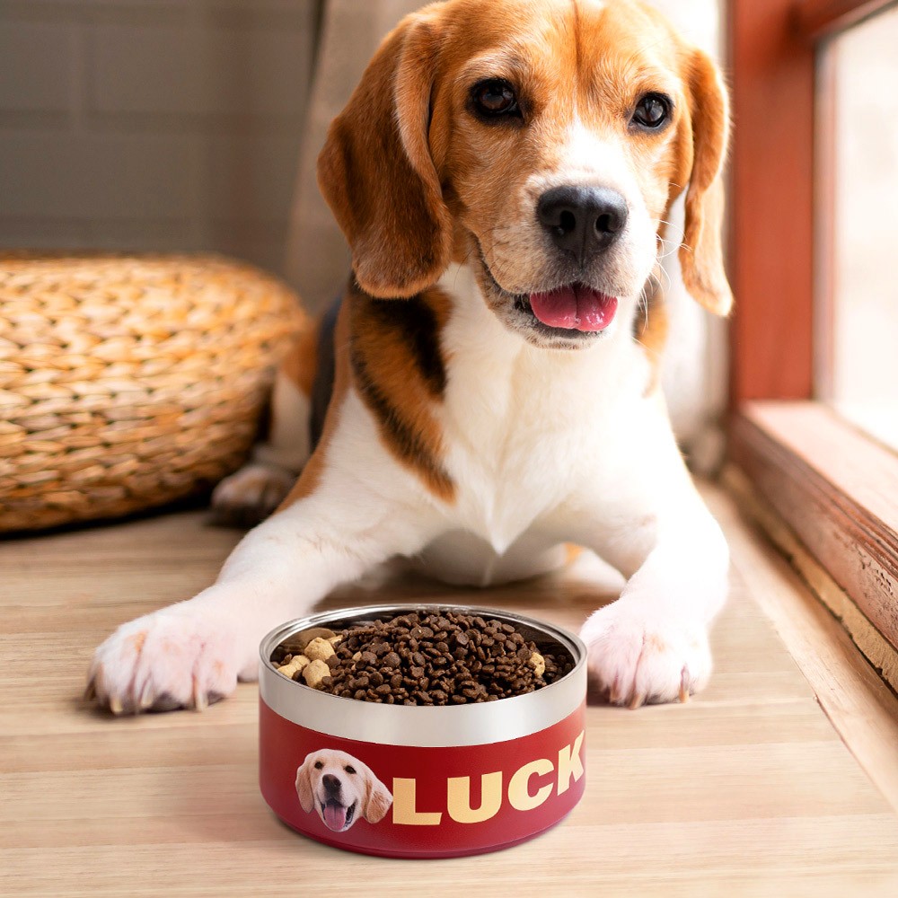 Personalized Photo & Name Dog Bowl, Custom Stainless Steel Pet Treat Container for Food & Water, Feeding Puppy Bowl Gifts for Small, Medium/Large Dogs