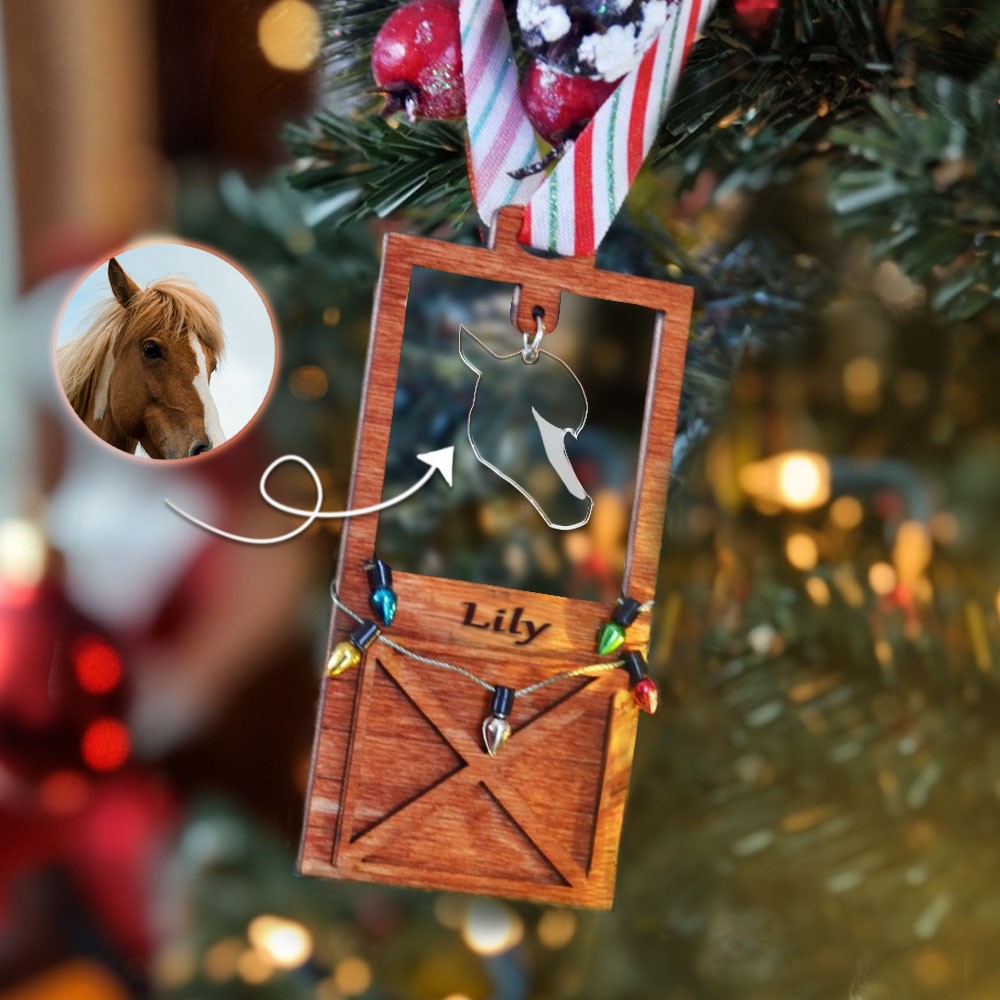 Custom Horse Face Marking Christmas Gift