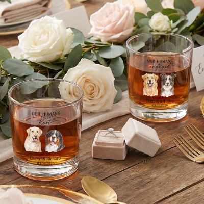 wine glass