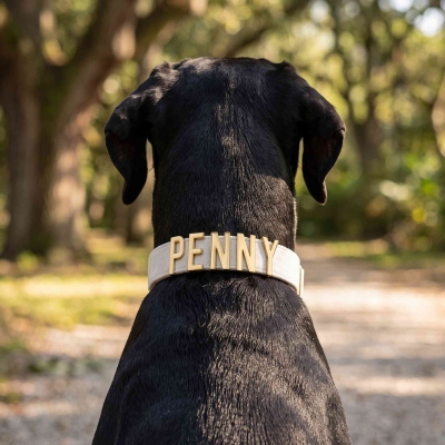 Bandana per cani