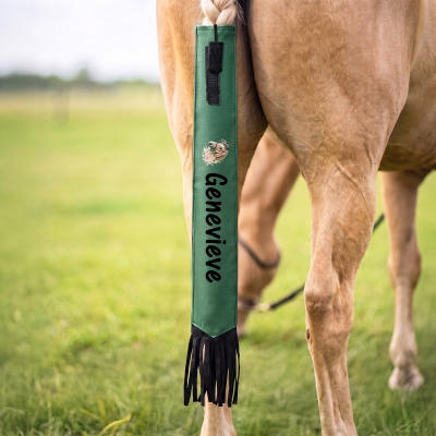 Horse show competition
