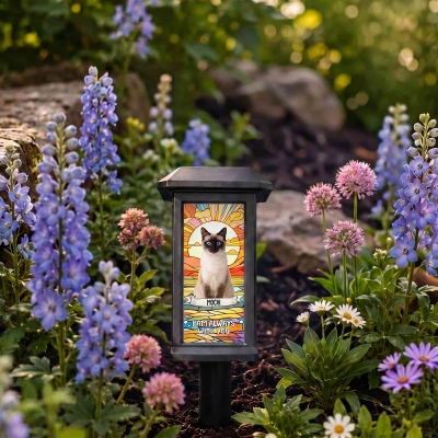 Solar Garden Light
