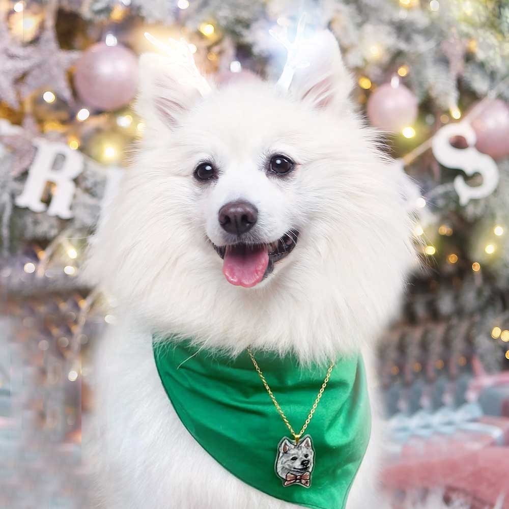 cadeaux personnalisés pour animaux de compagnie