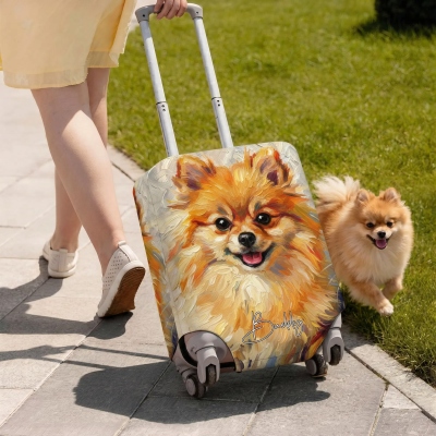 suitcase cover