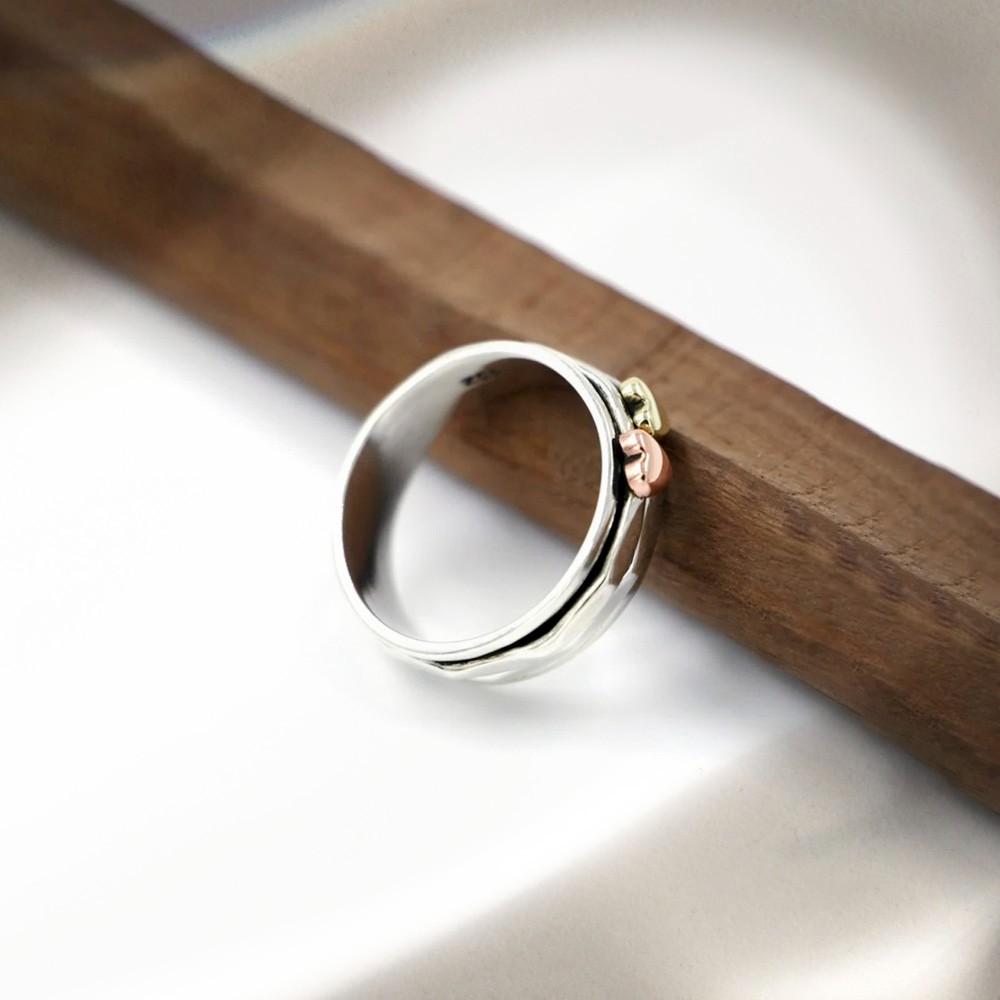 Fidget Ring