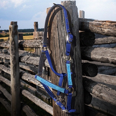 Licol Cheval Brodé Personnalisé