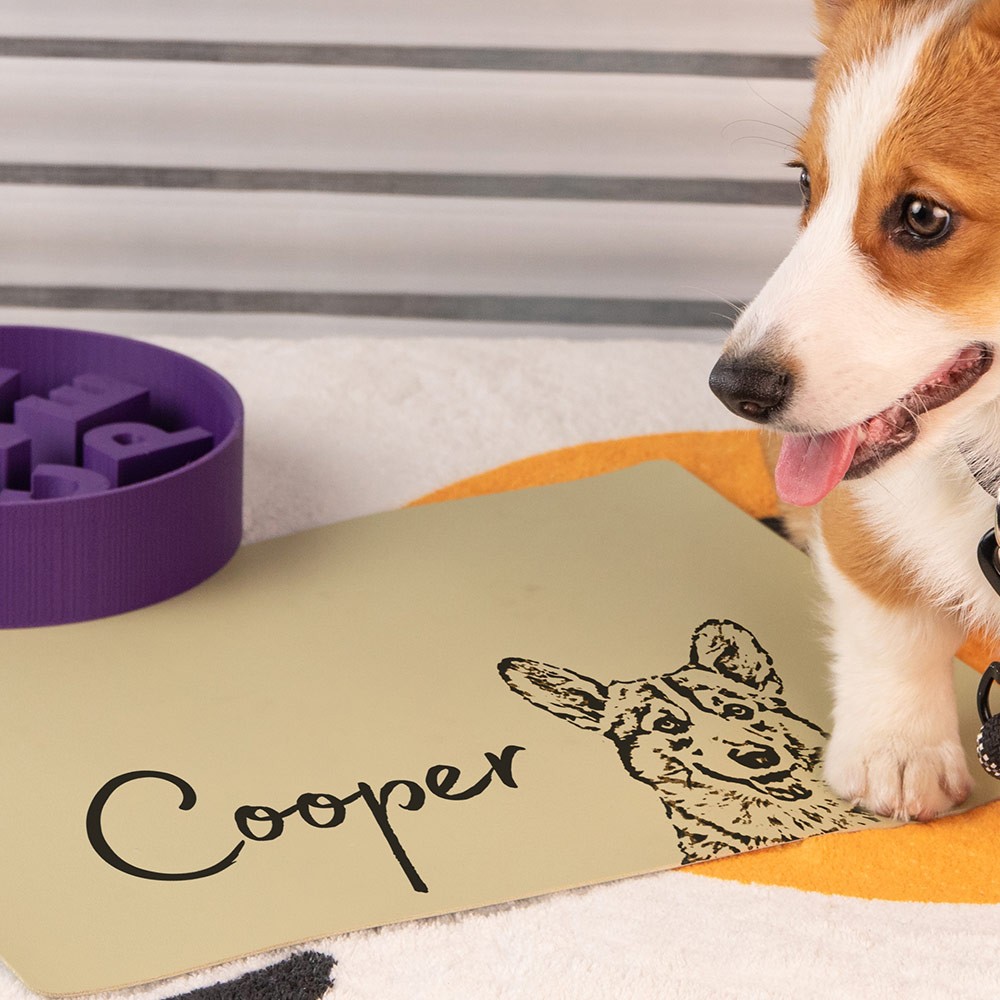 tapis de nourriture pour chien