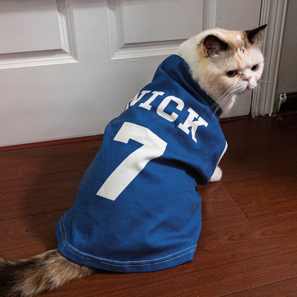 Custom Name Jersey for Pet, Name Number Printed Dog Shirt Cat Shirt, Puppy Clothing Dog Outfit Dog Tee Gift for Football Lovers/Sports Fans