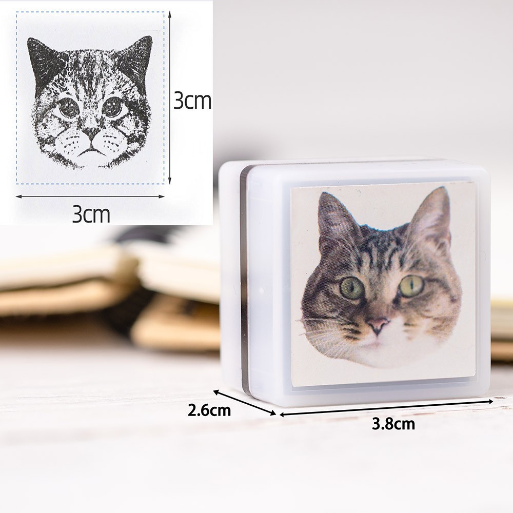 Customized cats