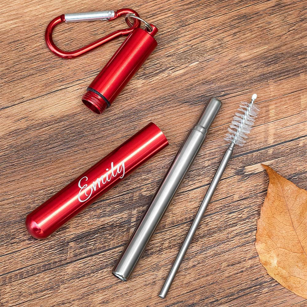 Stainless Steel Straw Dispenser