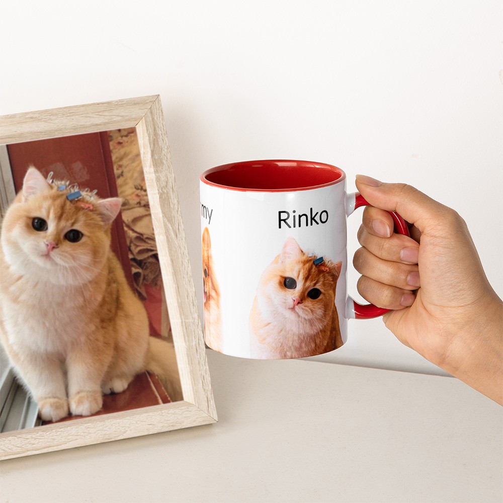 Custom pet Mug