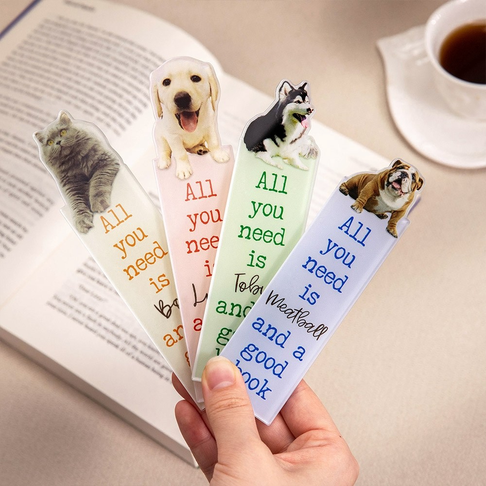 Dog cat photo