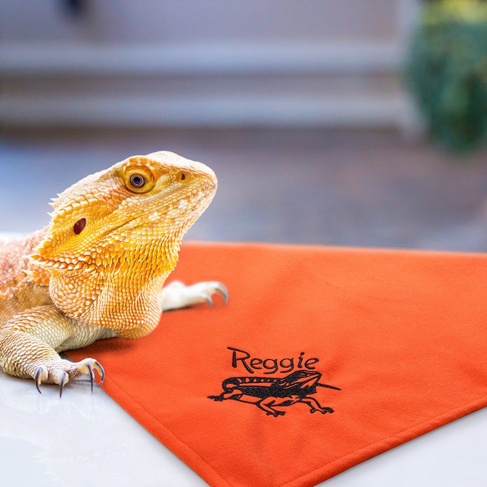 Personalized Name Bearded Dragon Blanket, Bearded Dragon Beds, Reptile/Gecko Tank Cave Decorations Accessories, Bearded Dragon Starter Kit