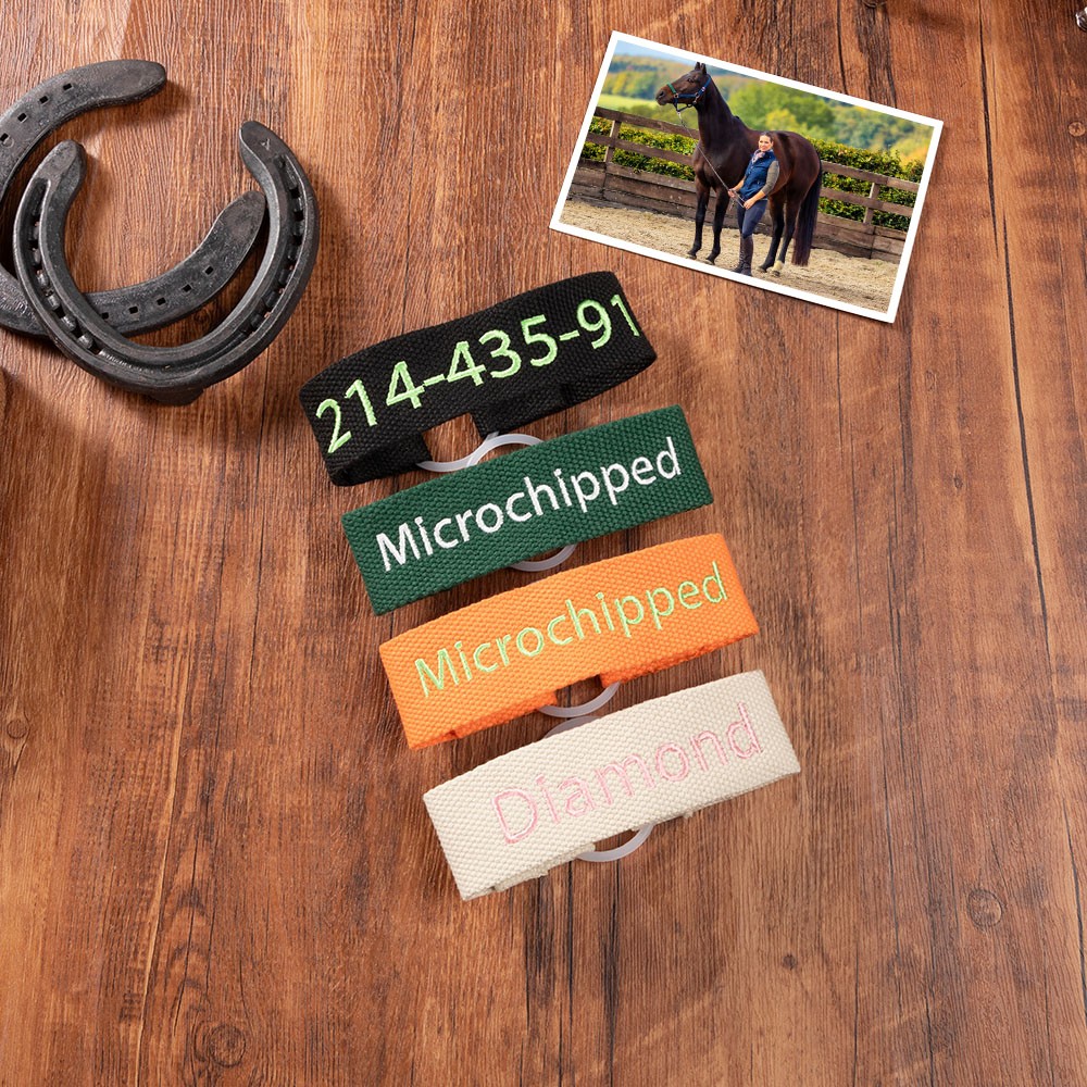 Horse ID Tag Band