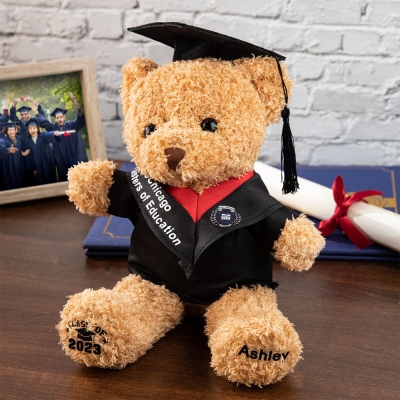 Custom Name Graduation Teddy Bear med skolmärke, plyschbjörn med Mortarboard, Graduation Gifts for Friends/Students/Kindergarten