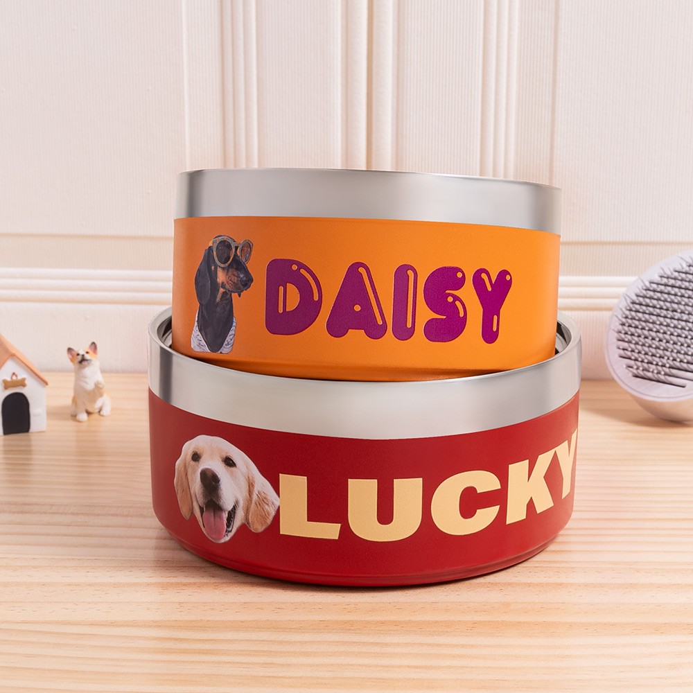 Personalized Photo & Name Dog Bowl, Custom Stainless Steel Pet Treat Container for Food & Water, Feeding Puppy Bowl Gifts for Small, Medium/Large Dogs