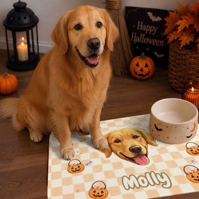 Pet Feeding Mat