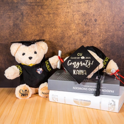 Ours en peluche de fin d'études sur mesure avec insigne d'école