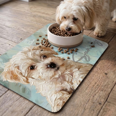 pet photo