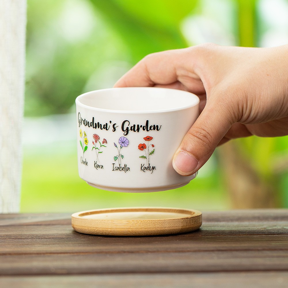 succulent flower pot