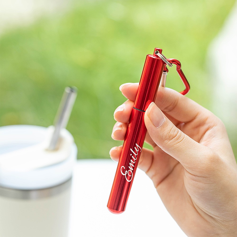Metal Straw