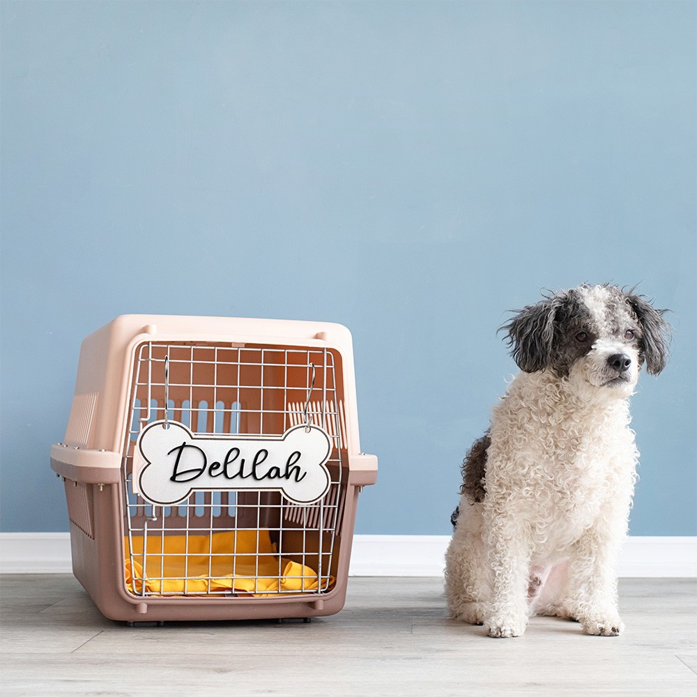 Signe personnalisé de caisse d'os de nom, signe de chien, décor de chambre de chien, signe de chenil de chien, signe suspendu de caisse, cadeau pour des amants d'animal familier/chien maman, cadeau commémoratif d'animal familier