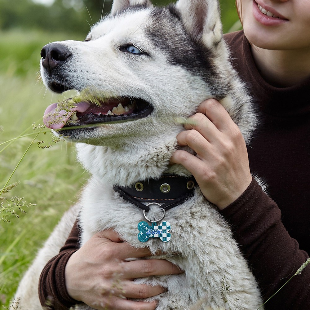 pet tags personalized dog